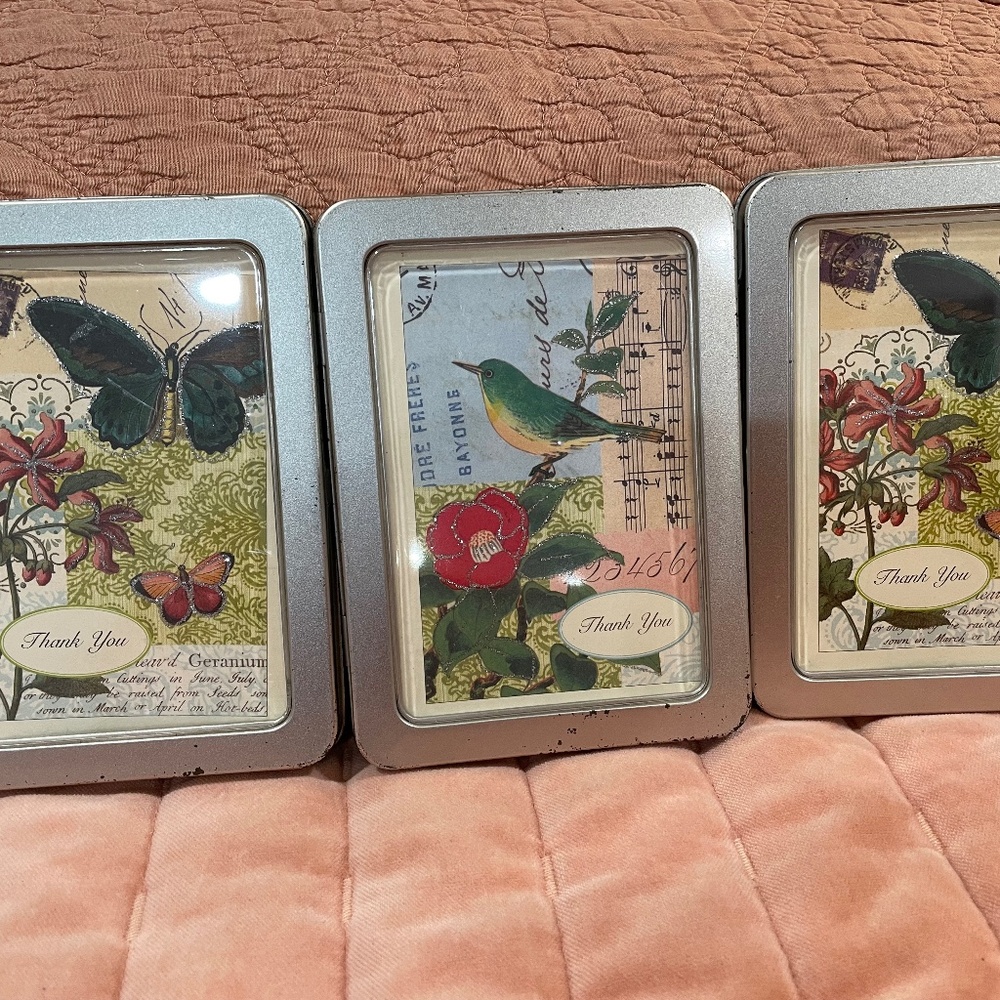 Set of 3 Thank You Notes Cavallini & Co